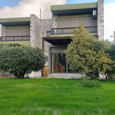 Vigneto *