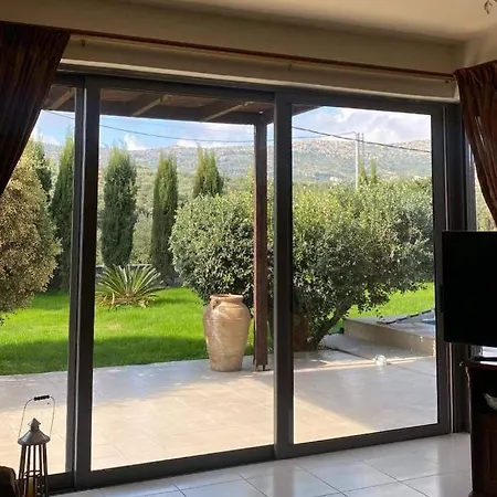 Vigneto Villa Peza